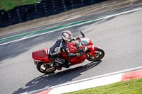 brands-hatch-photographs;brands-no-limits-trackday;cadwell-trackday-photographs;enduro-digital-images;event-digital-images;eventdigitalimages;no-limits-trackdays;peter-wileman-photography;racing-digital-images;trackday-digital-images;trackday-photos